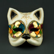 harlequin cat